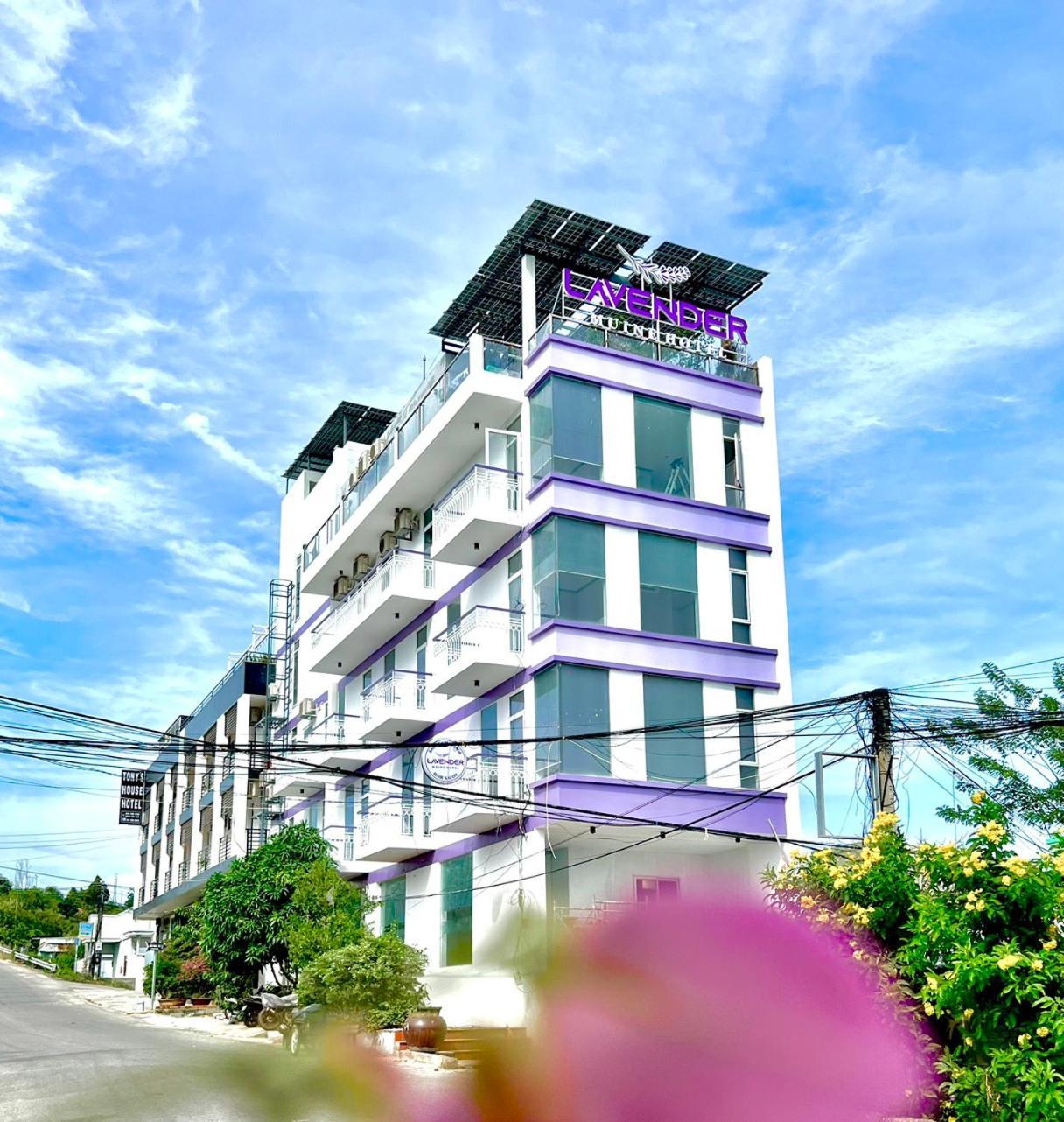 Lavender Muine Hotel Муйне Екстер'єр фото